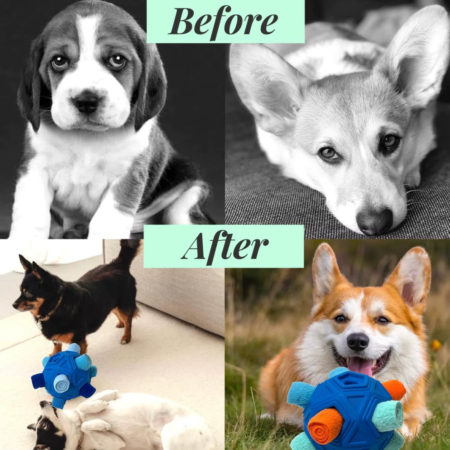 Unbreakable Snuffle Ball for Dogs - Interactive Foraging Toy and Slow Feeder Treat Dispenser