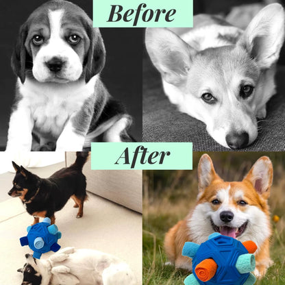 Unbreakable Snuffle Ball for Dogs - Interactive Foraging Toy and Slow Feeder Treat Dispenser